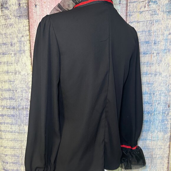 RUFFLE COLLAR & CUFFS FRONT TIE BUTTON DOWN SHEER LONG SLEEVE BLOUSE - Picture 9 of 11